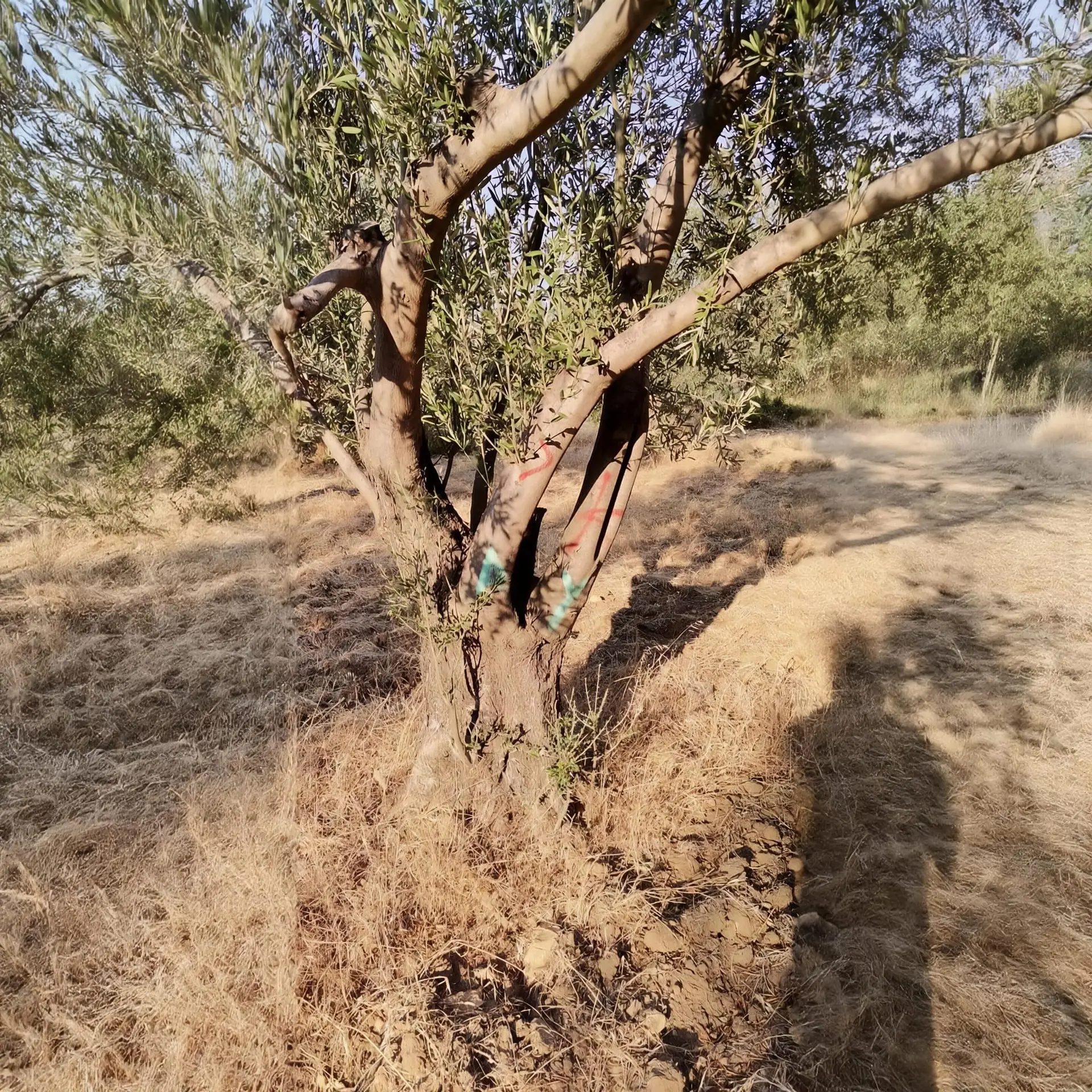 WhatsApp Image 2026-01-30 at 15.20.37