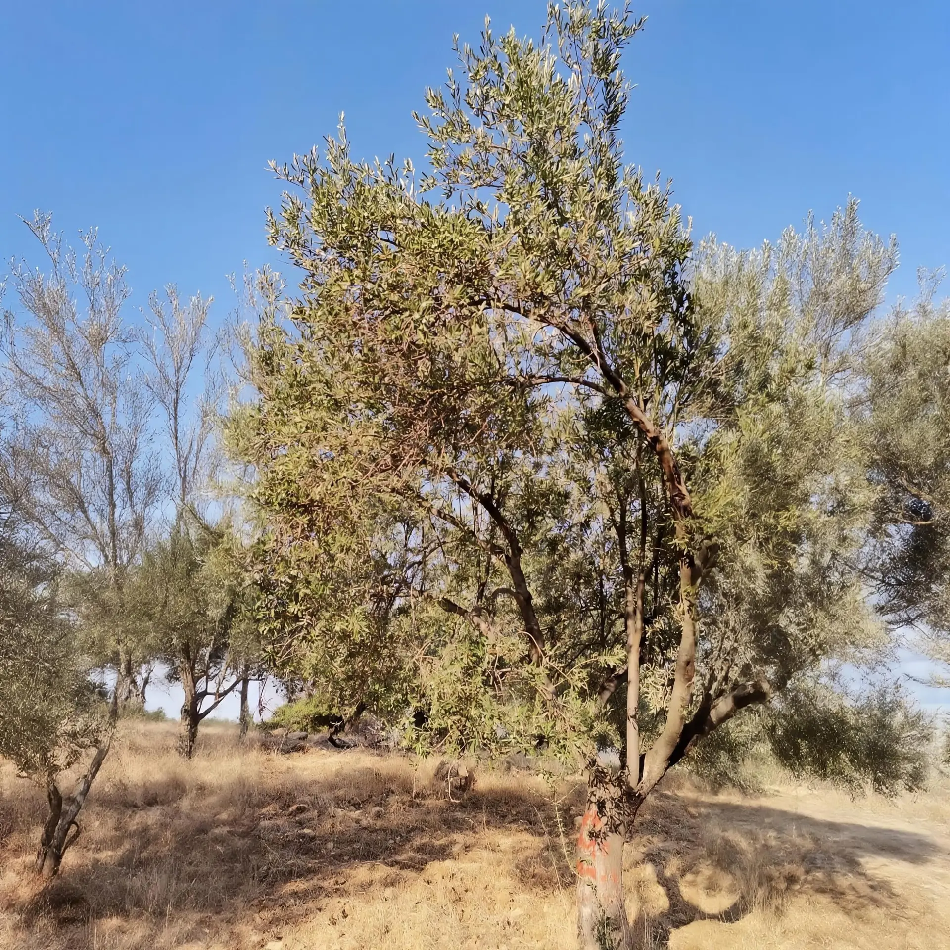 WhatsApp Image 2026-01-30 at 15.20.38 (1)