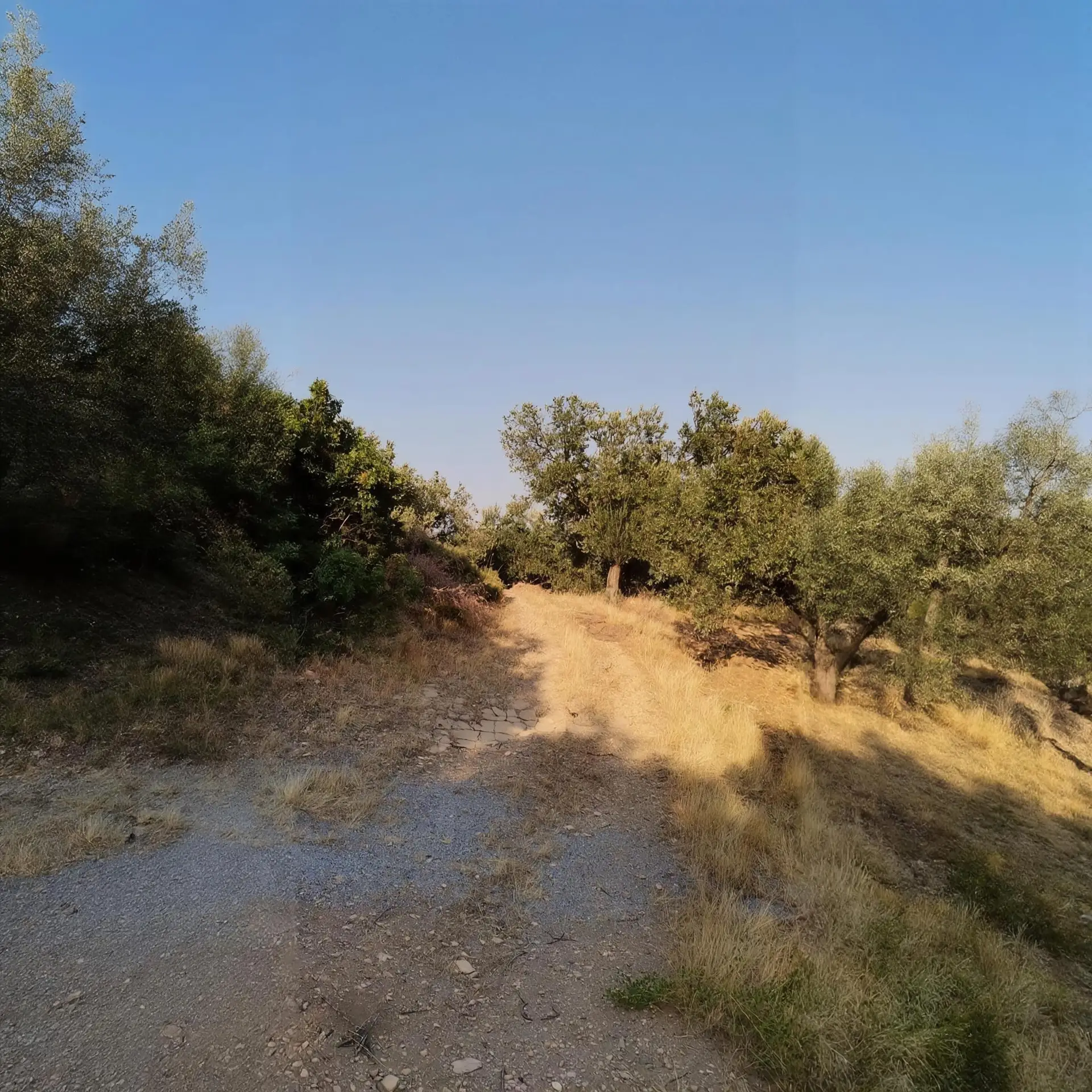 WhatsApp Image 2026-01-30 at 15.20.38 (2)