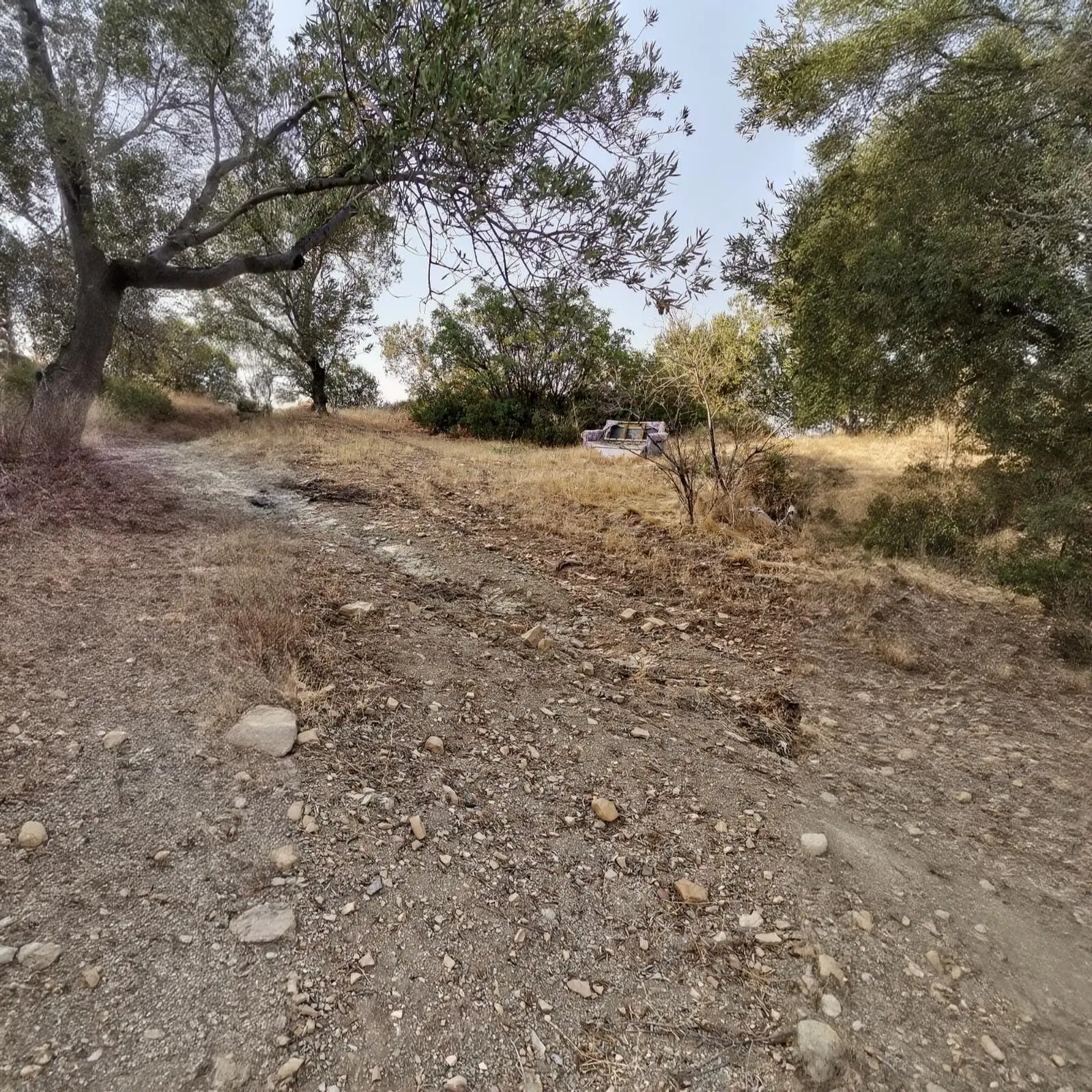 WhatsApp Image 2026-01-30 at 15.20.38 (3)