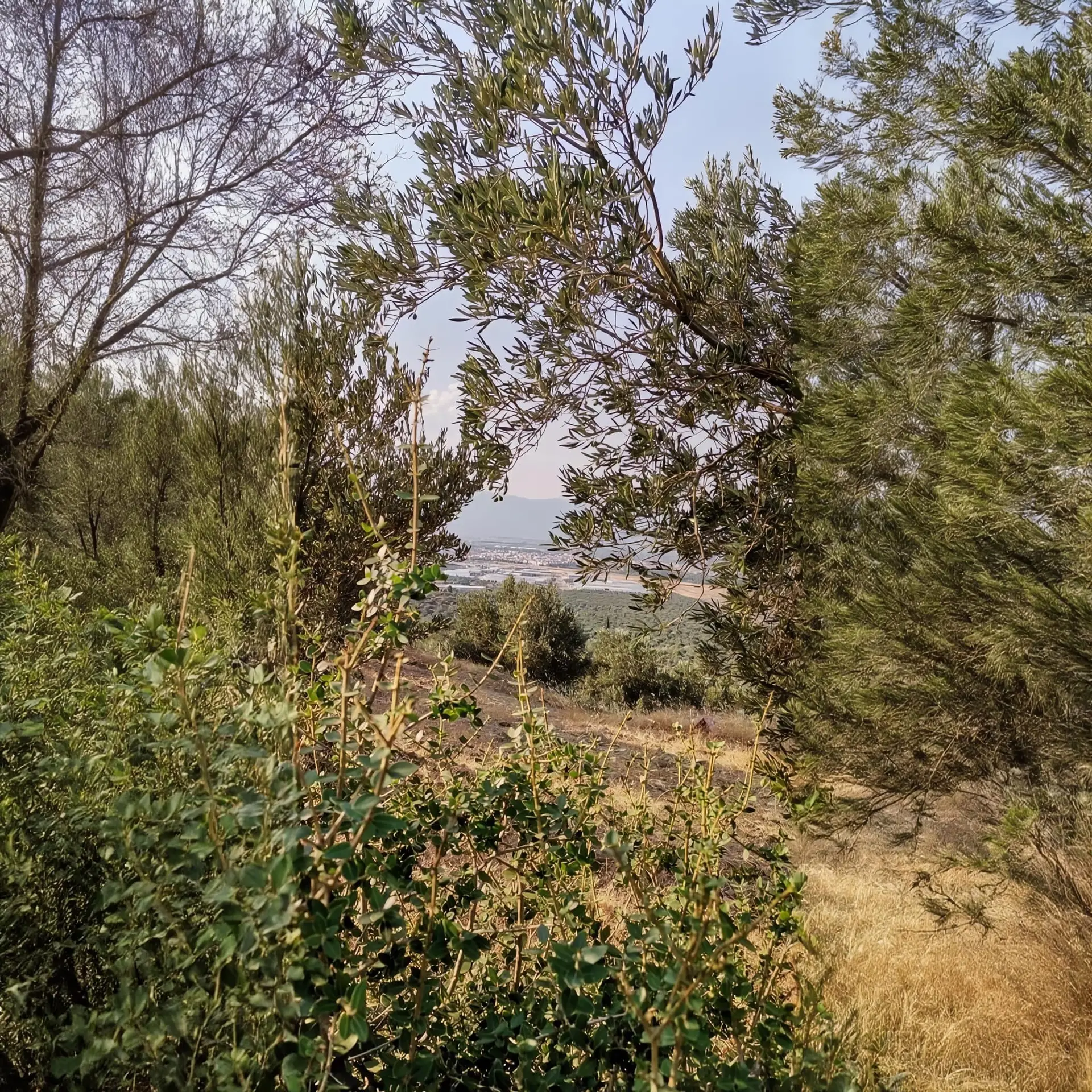 WhatsApp Image 2026-01-30 at 15.20.38