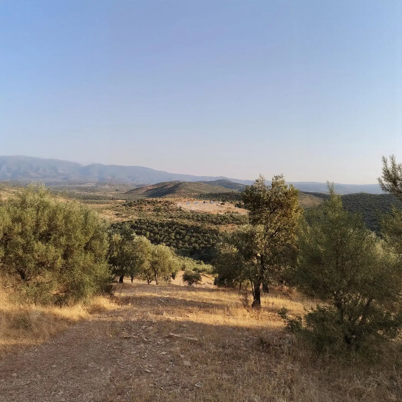 WhatsApp Image 2026-01-30 at 15.20.39