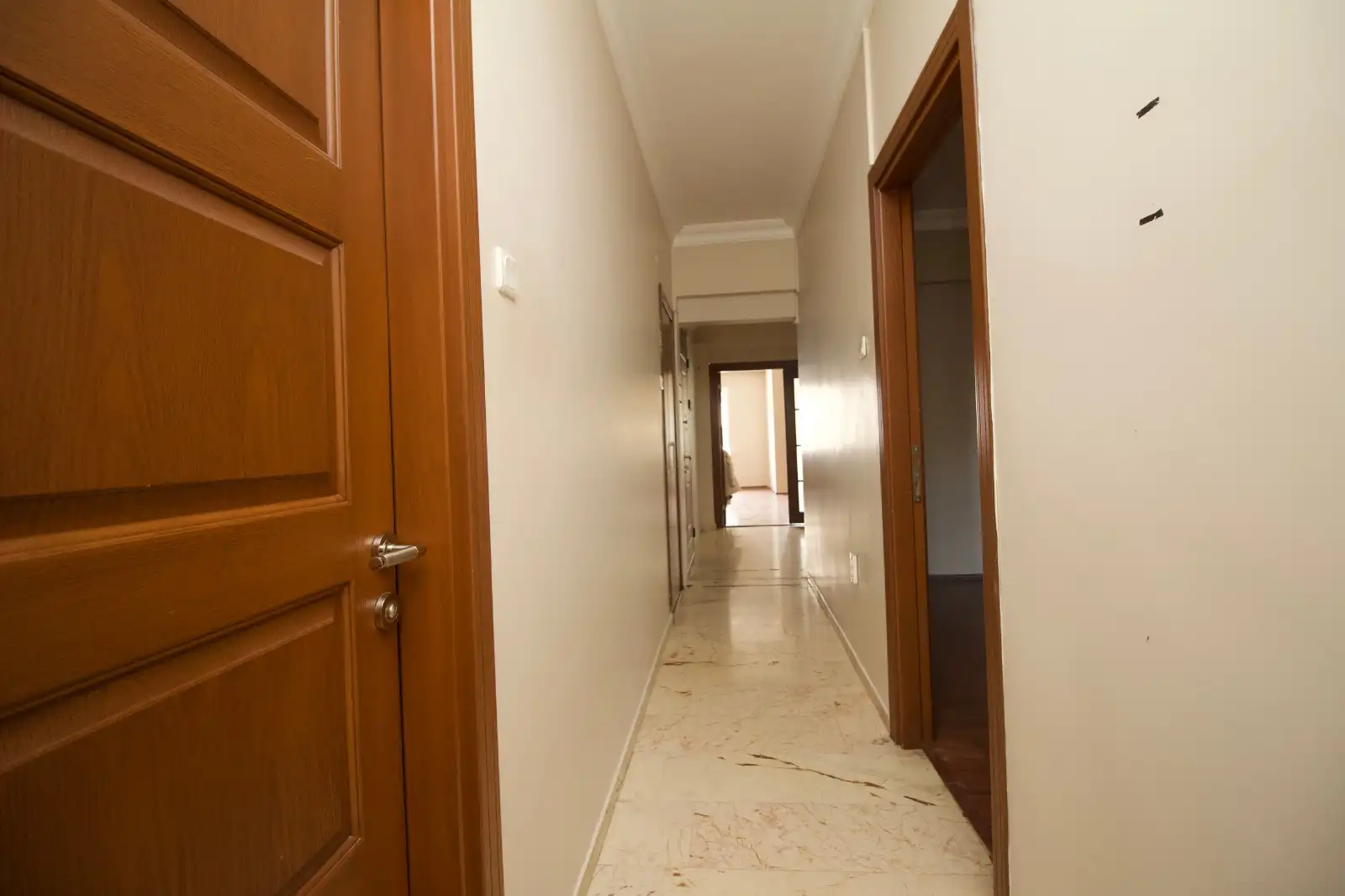 WhatsApp Image 2026-02-21 at 13.02.21 (2)_result